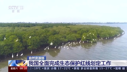 筑牢生態屏障 我國全面完成生態保護紅線劃定，開啟自然生態系統保護新篇章